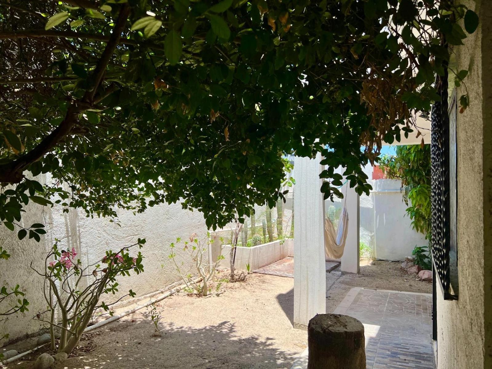 ラパスLa Casa Del Pescadorアパートメント エクステリア 写真